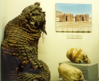 Mummy+ Stretched Skulls