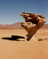 Photo Everyone Must Take