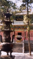 Shaolin Temple