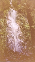 Cascades