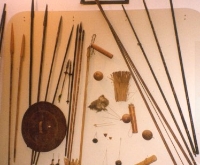 Amazon Weapons- Current Day