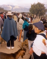 Natives At Animal Market
