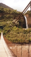 Rope Bridge Near