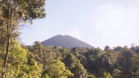 Volcano Pacaya