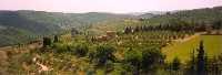 Chianti Country