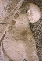 Pompeii Teeth