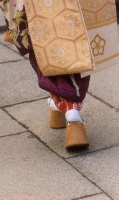 Geisha Shoes