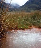 Natural Spring Water