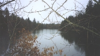 Forrest Resivoir