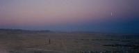 Desert Dusk