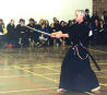 kendo demonstration